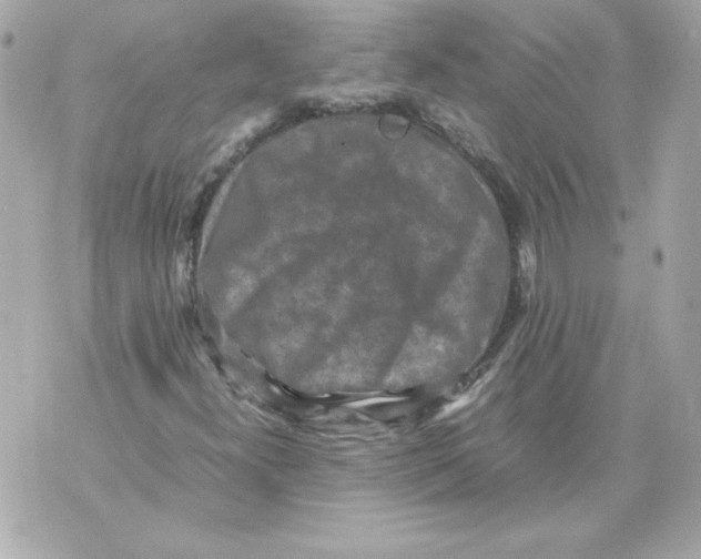 X0000070411300200607072259