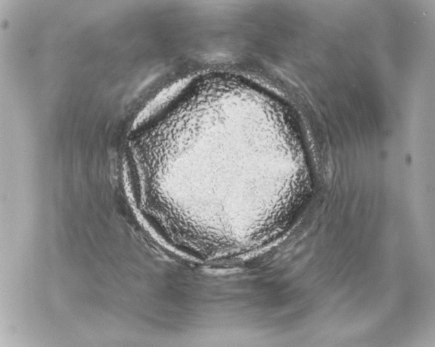 X0000070411301200607072259