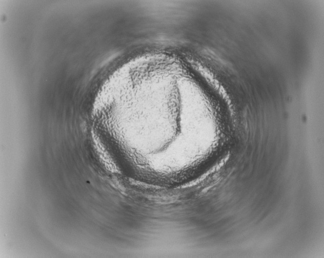 X0000070411302200607072259