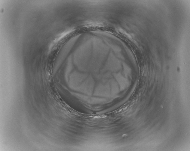 X0000070411303200607072259