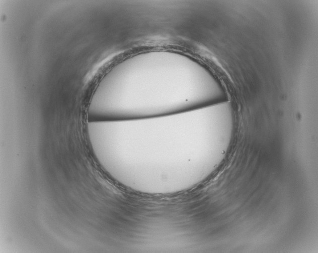 X0000070411304200607072259