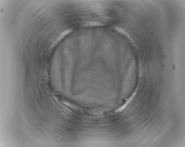 X0000070411305200607072259