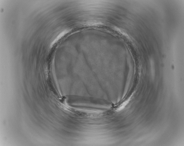 X0000070411306200607072259