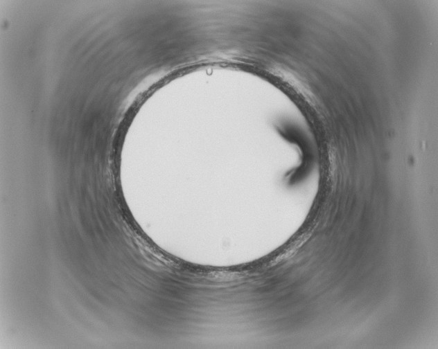 X0000070411308200607072259