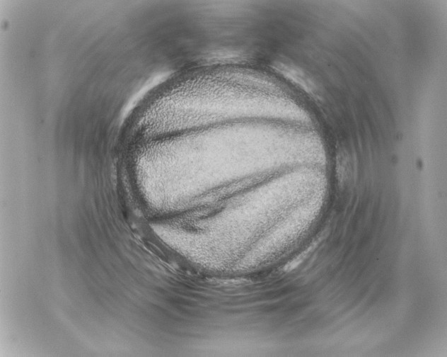 X0000070411309200607072259