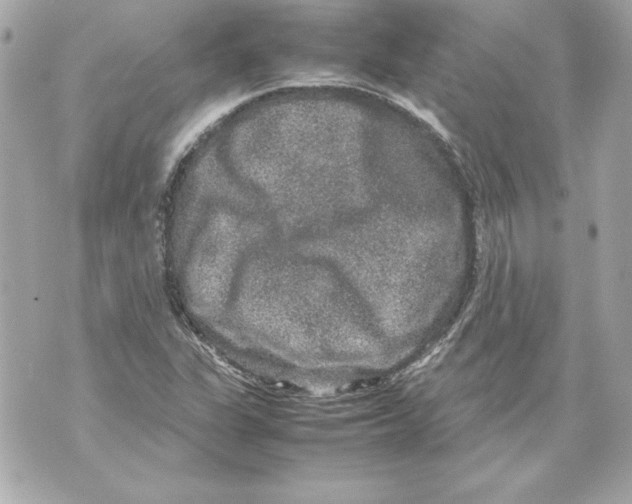 X0000070411311200607072259