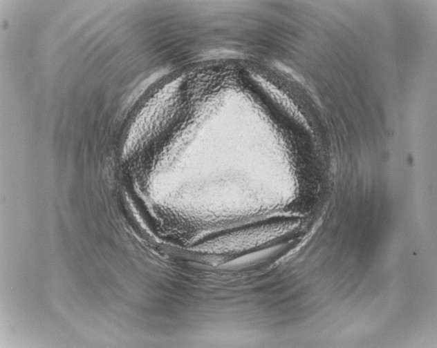 X0000070411313200607072259