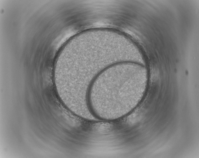 X0000070411314200607072259