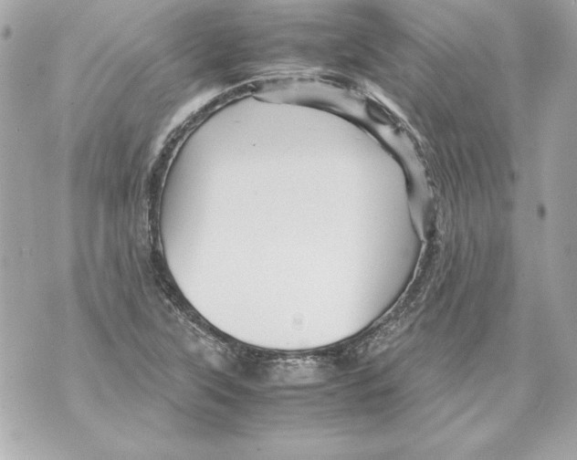 X0000070411315200607072259