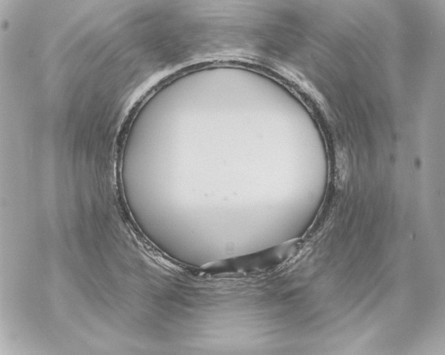 X0000070411316200607072259