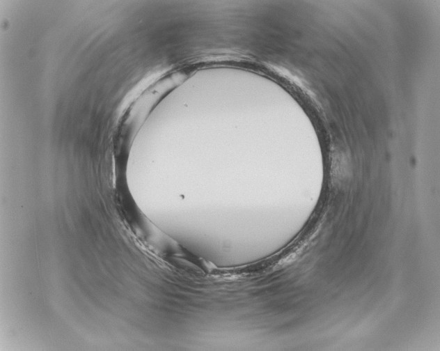 X0000070411317200607072259