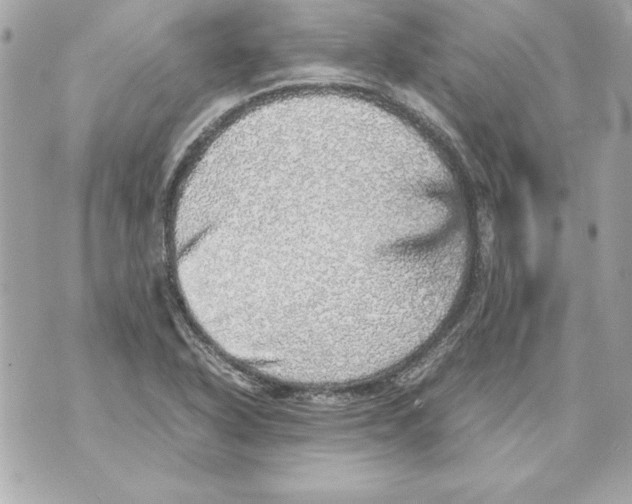 X0000070411318200607072259