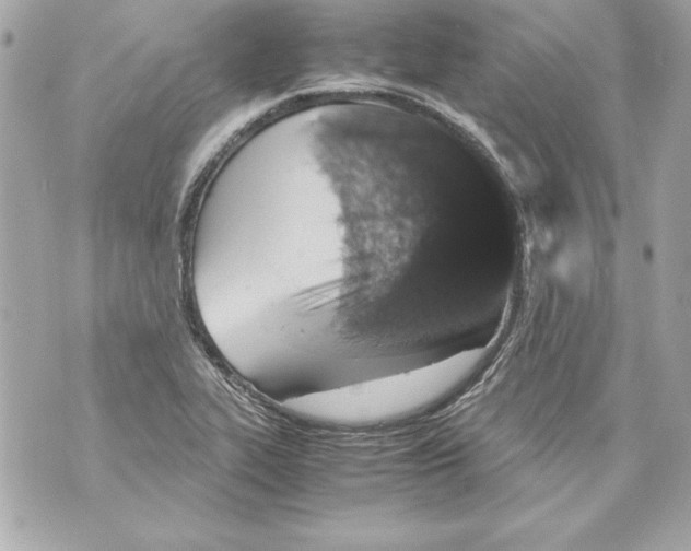 X0000070411319200607072259