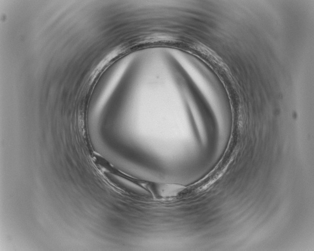 X0000070411321200607072259