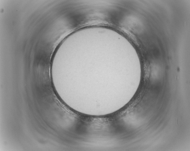 X0000070411322200607072259