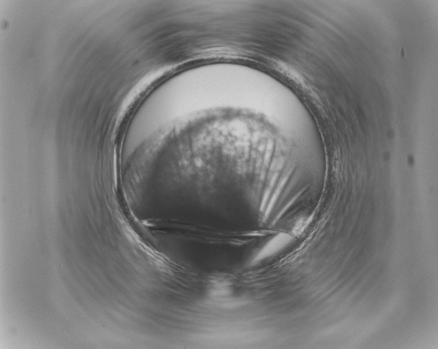 X0000070411323200607072259