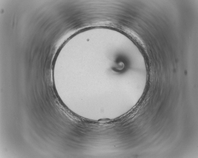 X0000070411324200607072259