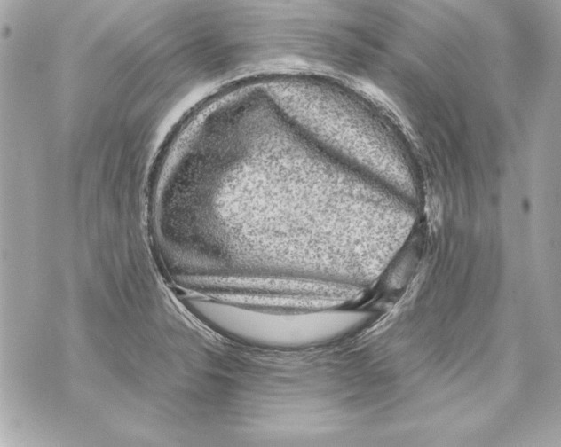 X0000070411326200607072259