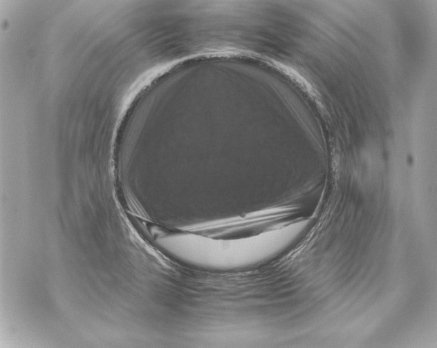 X0000070411327200607072259