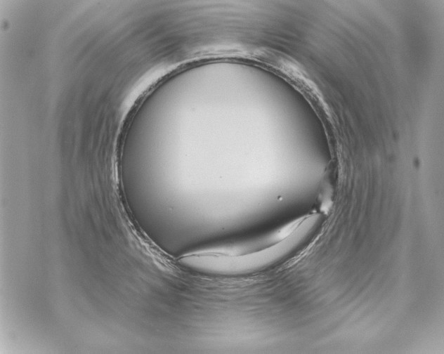 X0000070411328200607072259