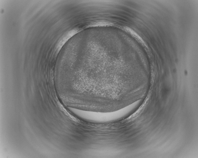 X0000070411329200607072259