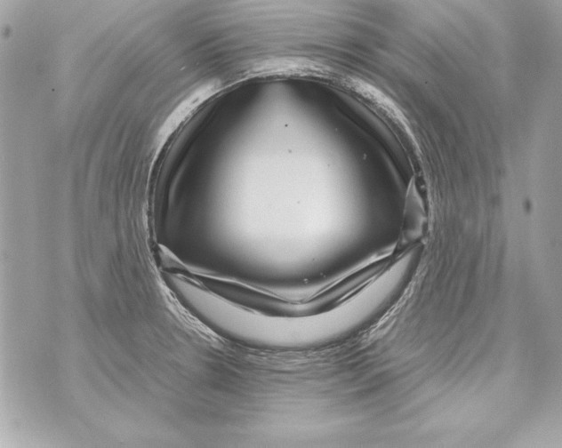 X0000070411330200607072259