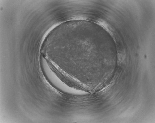 X0000070411331200607072259