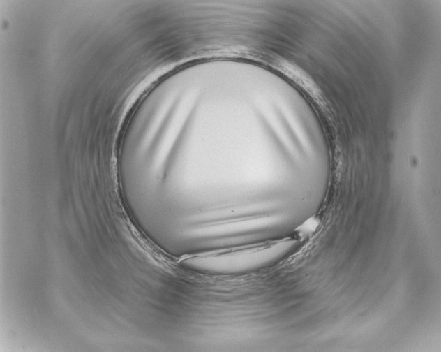 X0000070411332200607072259