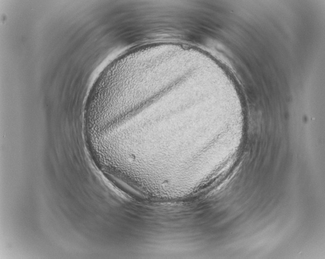 X0000070411333200607072259