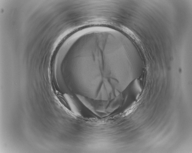 X0000070411334200607072259