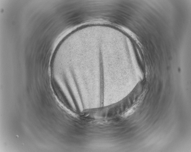 X0000070411335200607072259