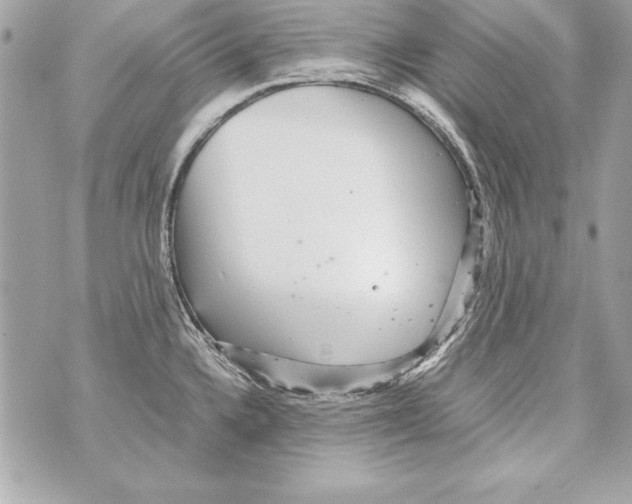 X0000070411336200607072259