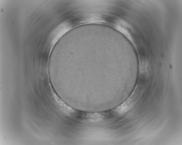 X0000070411338200607072259