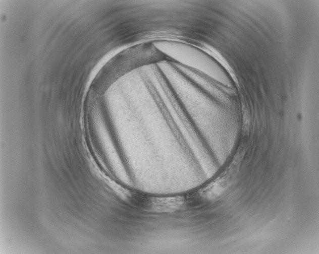 X0000070411339200607072259