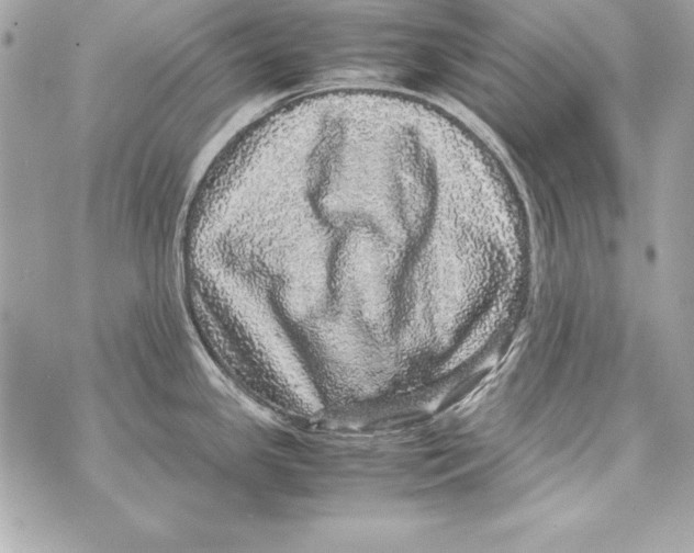 X0000070411341200607072259