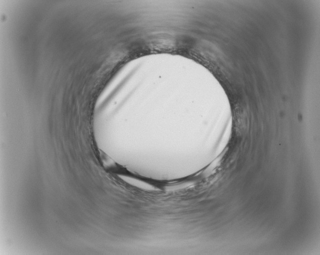 X0000070411345200607072259