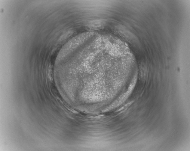 X0000070411346200607072259