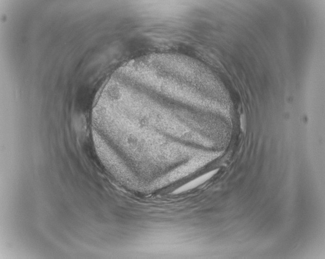 X0000070411347200607072259