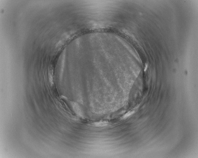 X0000070411348200607072259