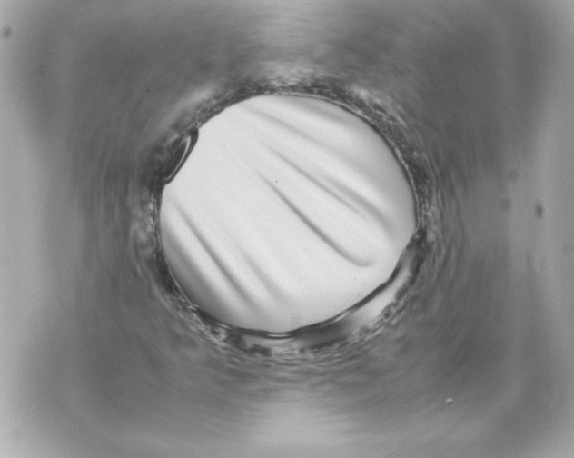 X0000070411349200607072259