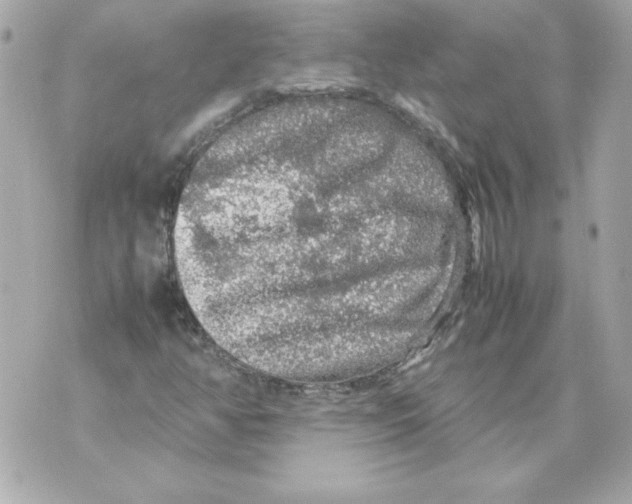 X0000070411350200607072259