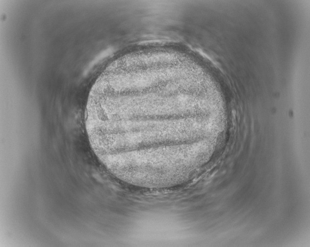 X0000070411351200607072259