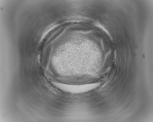 X0000070411352200607072259