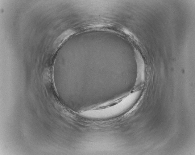 X0000070411353200607072259