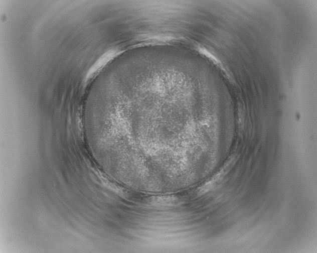 X0000070411354200607072259