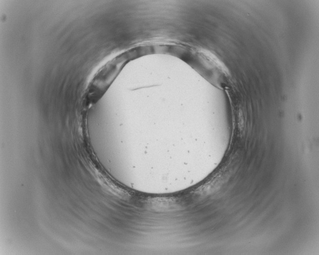 X0000070411356200607072259