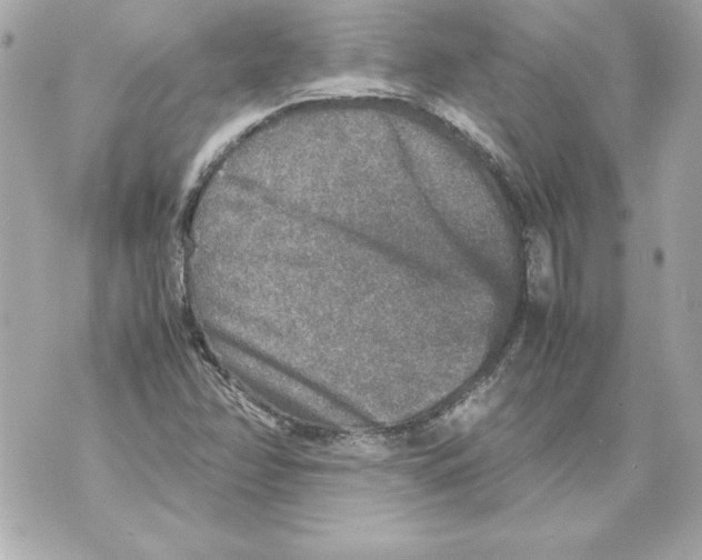 X0000070411358200607072259