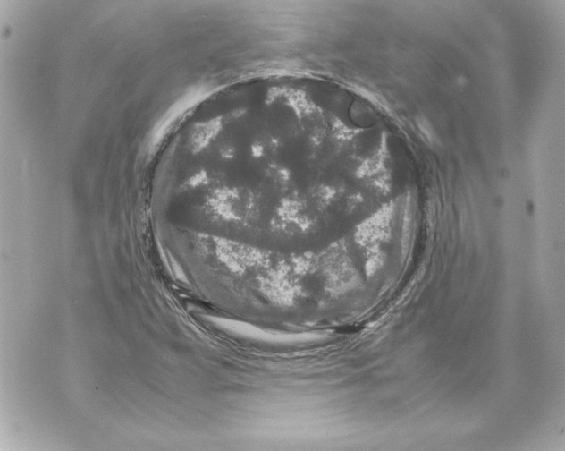 X0000070411359200607072258