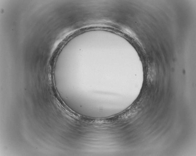 X0000070411360200607072258