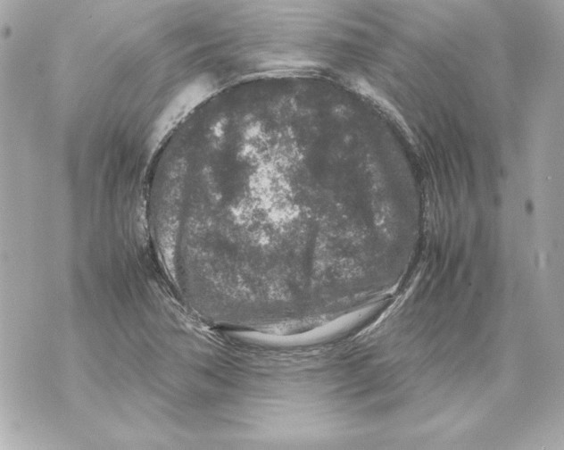 X0000070411362200607072258